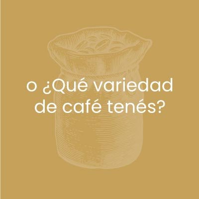 app cafe 004